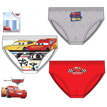 SLIP CX 3  CARS OE3018 ER3079