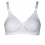 SOUTIEN RENDA RFª.409
